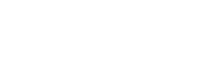 브리오쉬 파스키예